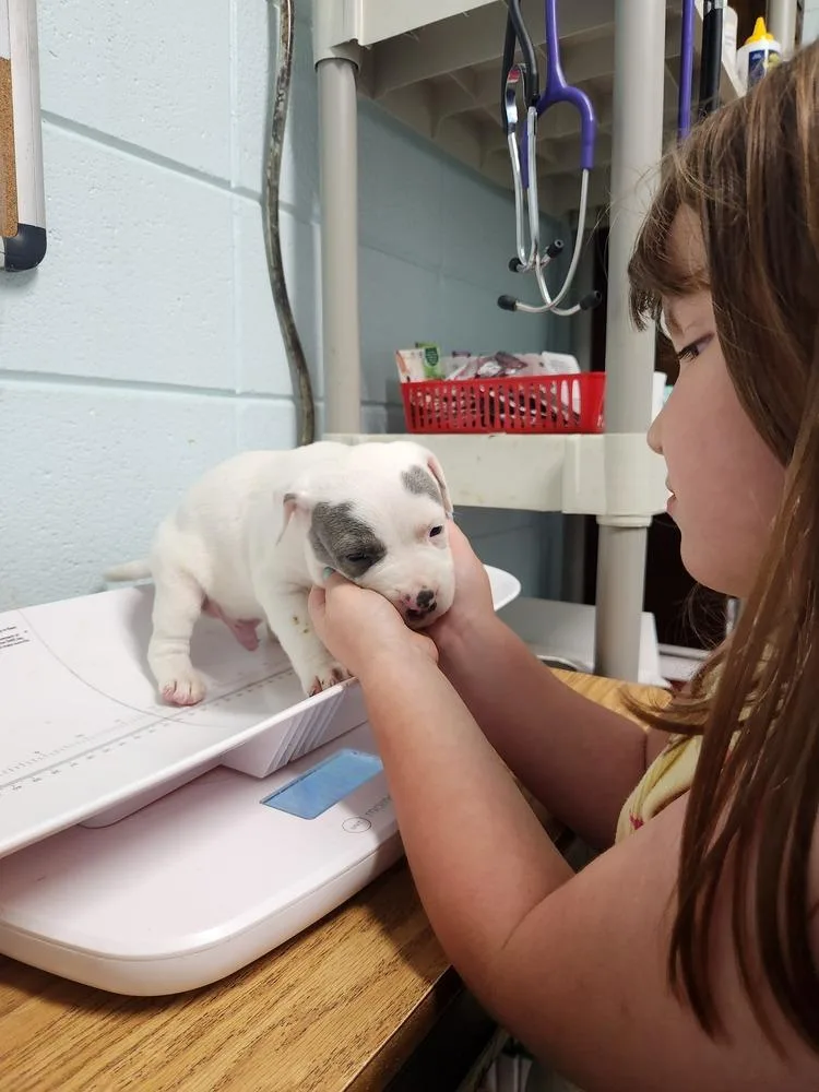 Theo Jack A thumbnail 2