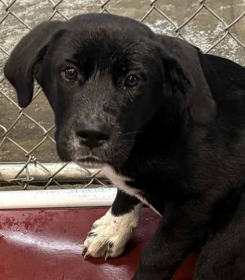 Charming Hold thumbnail 2