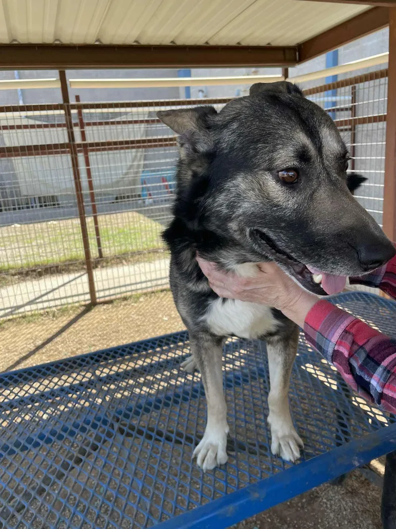 Kyle The Flirt thumbnail 2