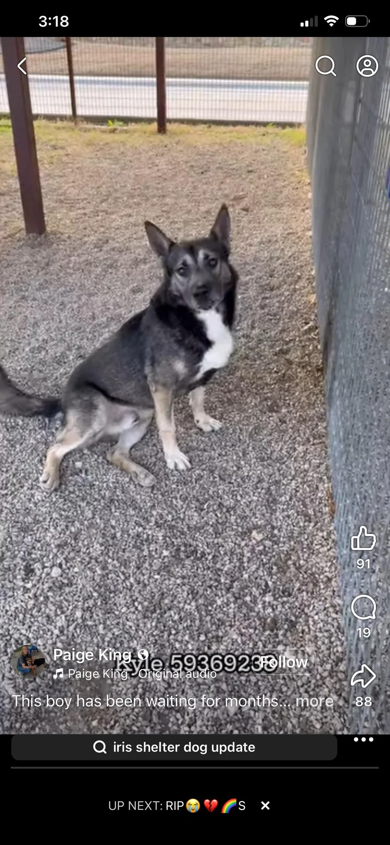 Kyle The Flirt thumbnail 3