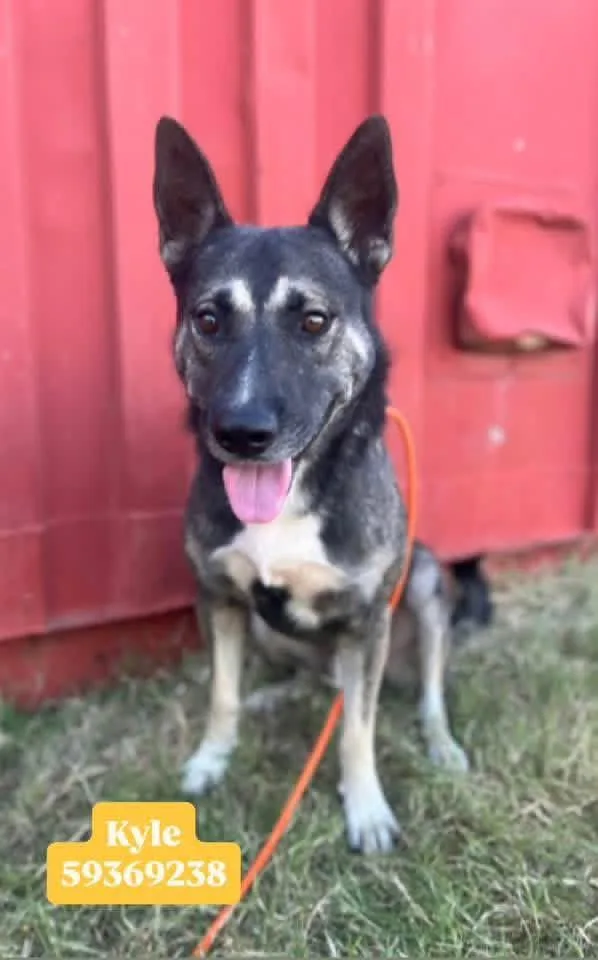 Kyle The Flirt thumbnail 4