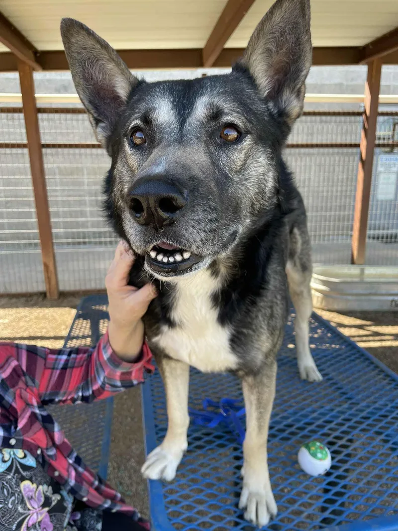 Kyle The Flirt thumbnail 5