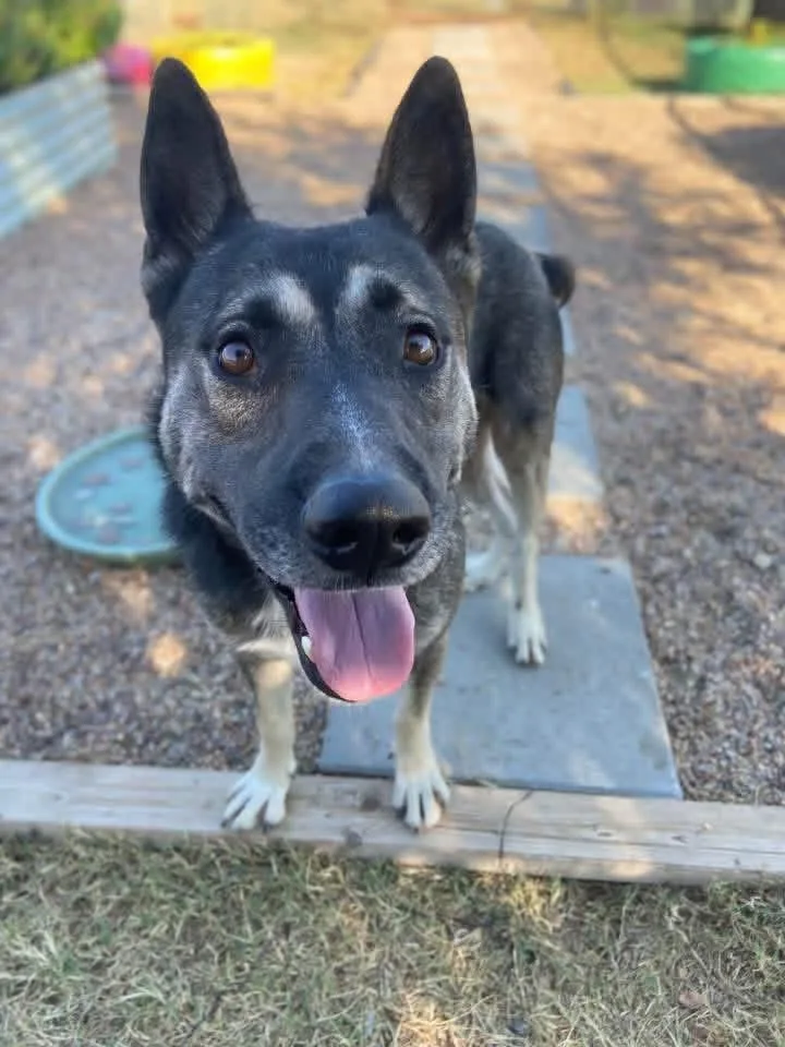 Kyle The Flirt thumbnail 6