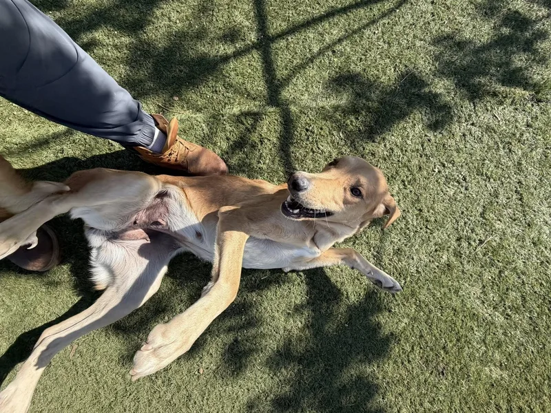 Sunshine thumbnail 2