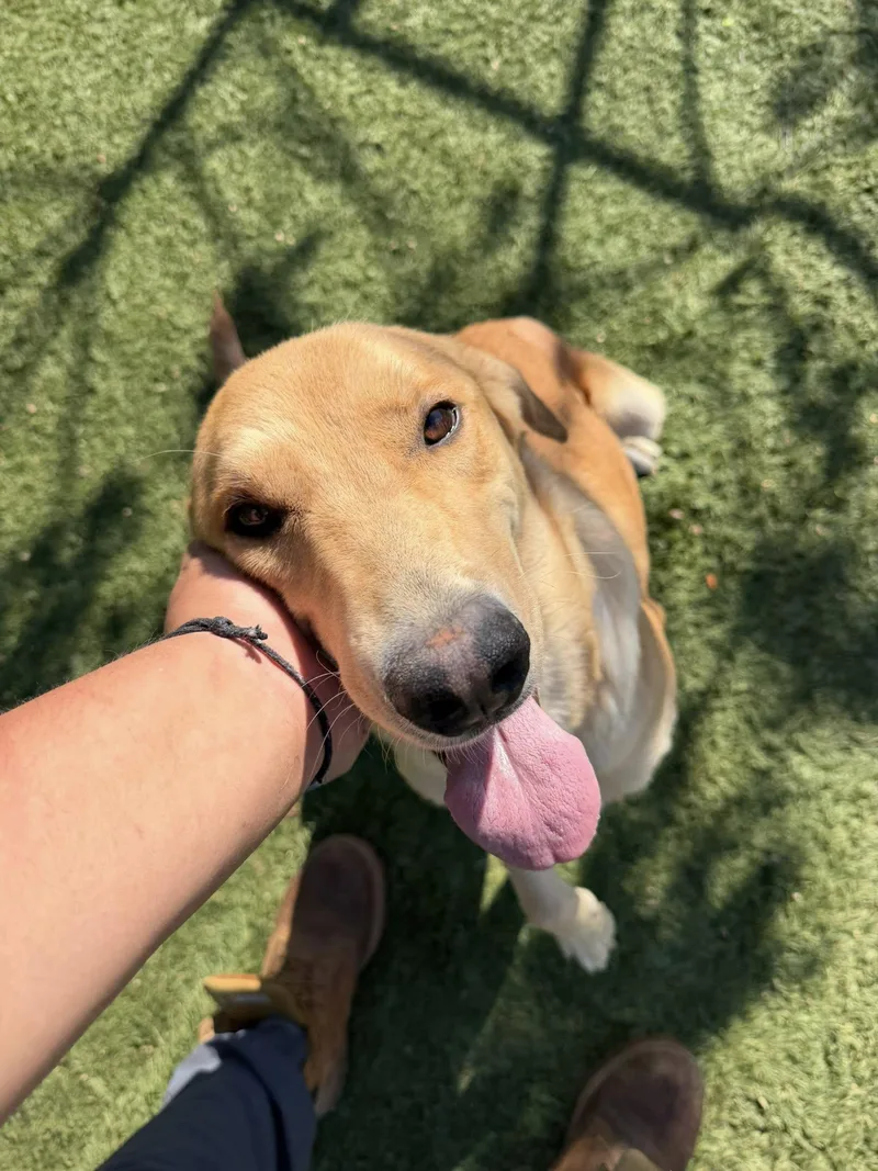 Sunshine thumbnail 3