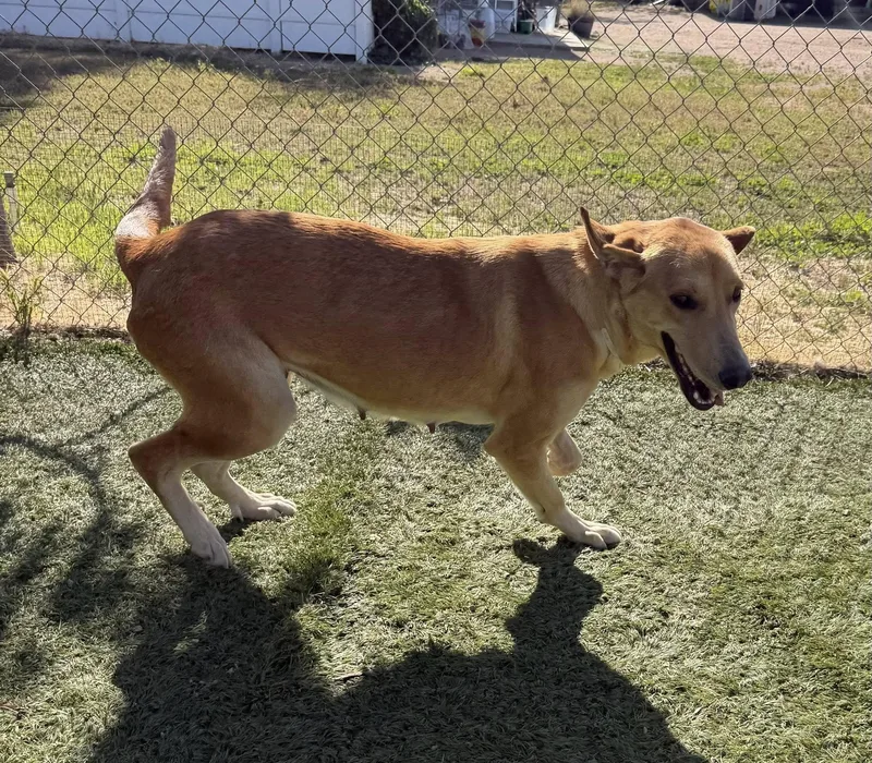 Sunshine thumbnail 5