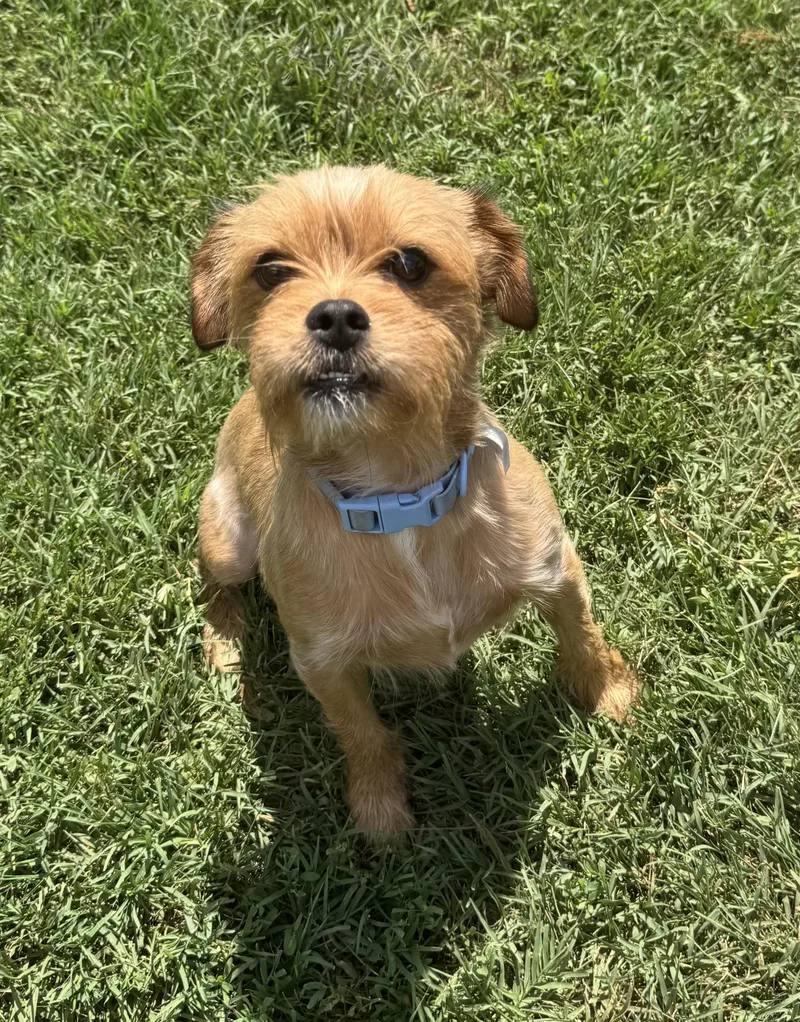 Eddie