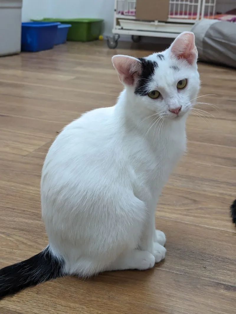 Captain Morgan thumbnail 3