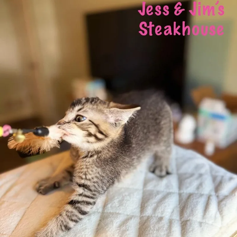 Jess & Jim's Steakhouse thumbnail 2