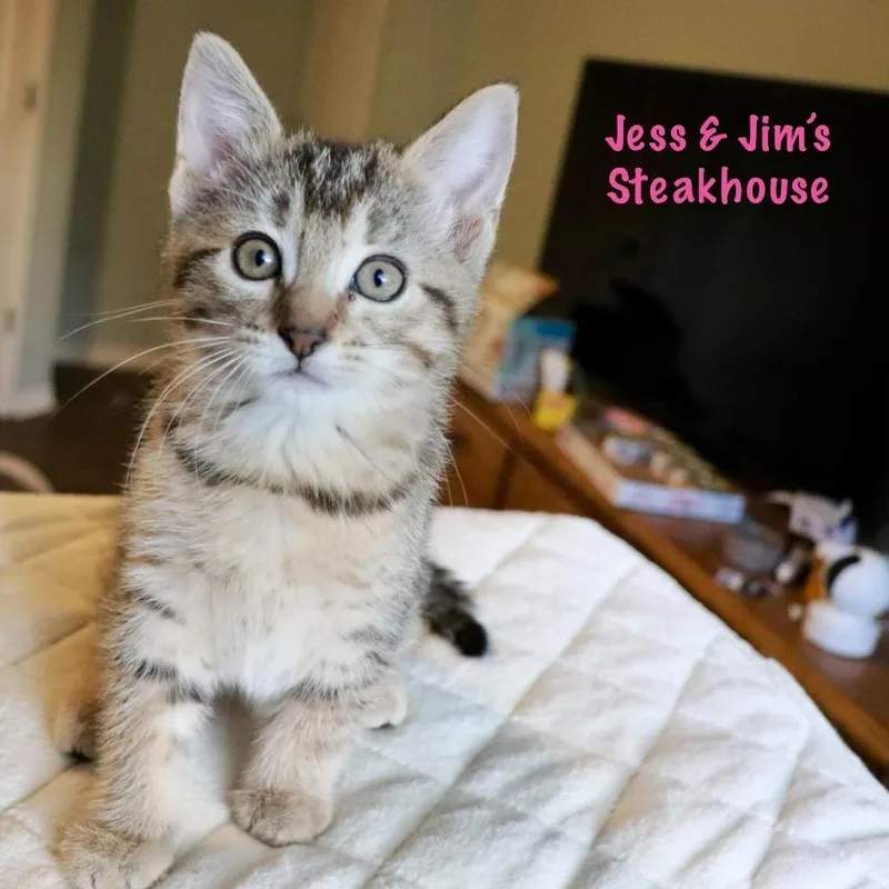 Jess & Jim's Steakhouse thumbnail 3