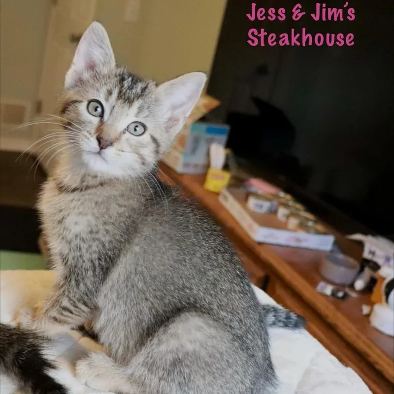 Jess & Jim's Steakhouse thumbnail 4