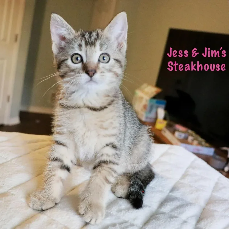 Jess & Jim's Steakhouse thumbnail 5