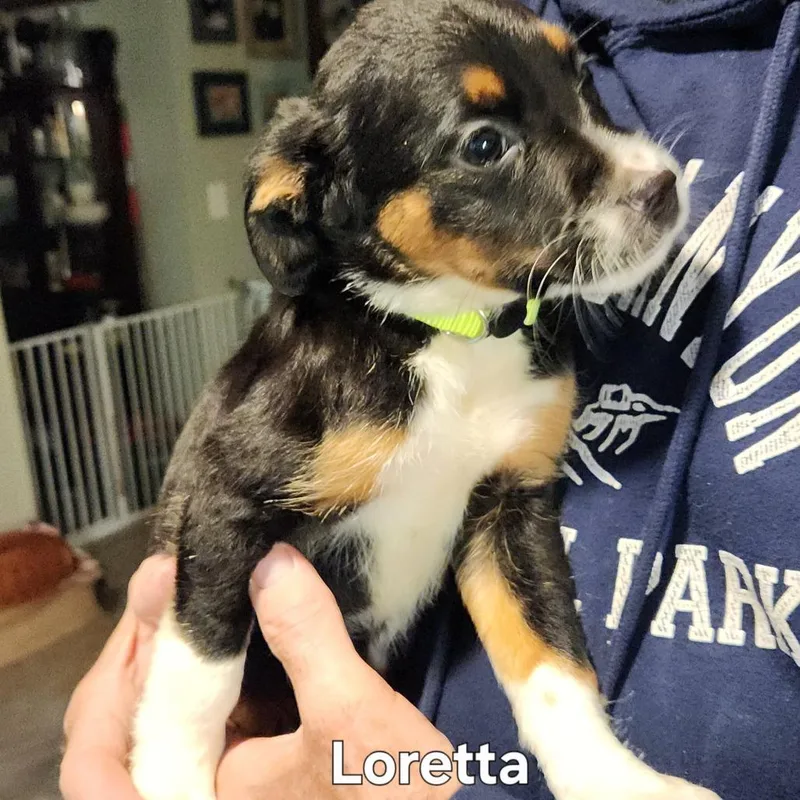 Loretta thumbnail 5