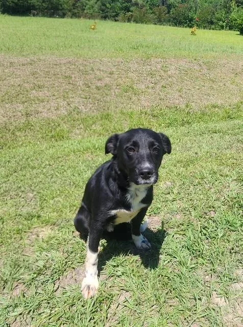 Keiko