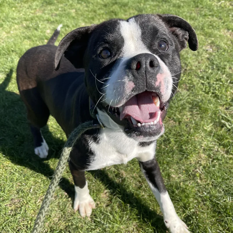 Poughkeepsie thumbnail 2