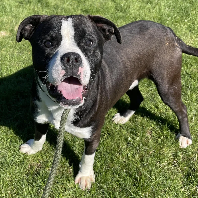 Poughkeepsie thumbnail 3