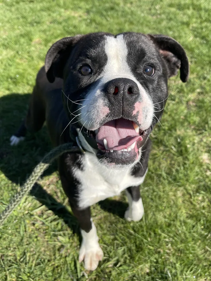 Poughkeepsie thumbnail 4