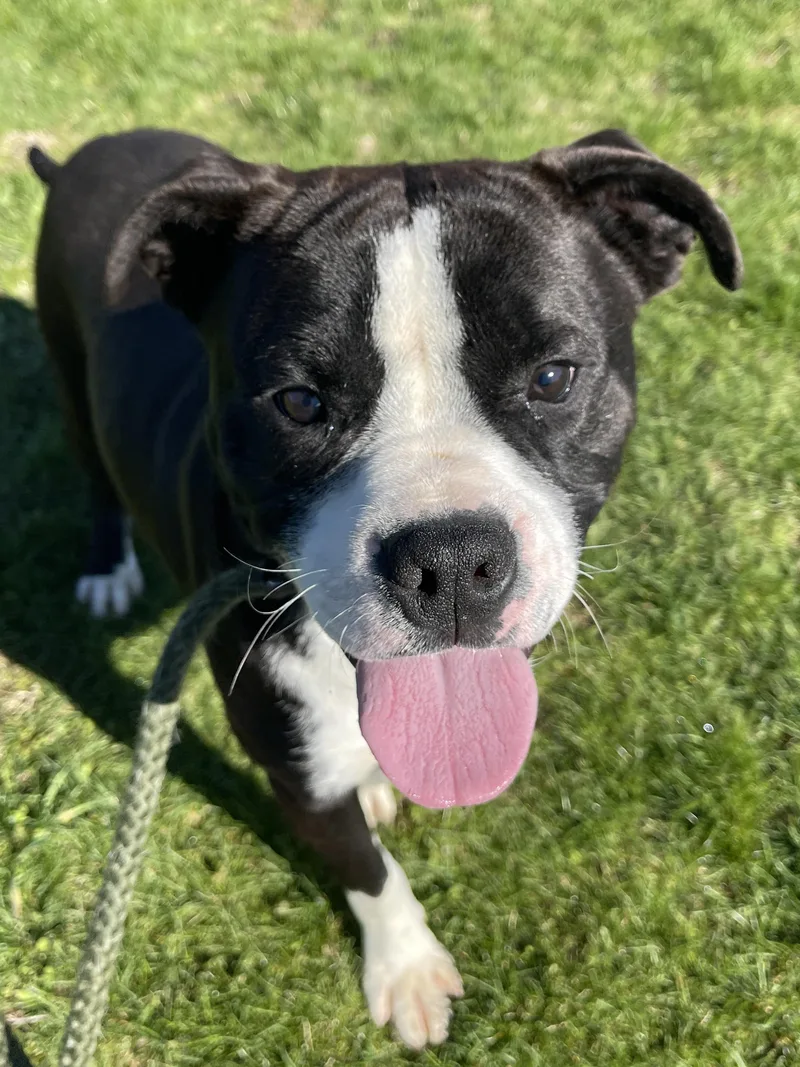 Poughkeepsie thumbnail 5