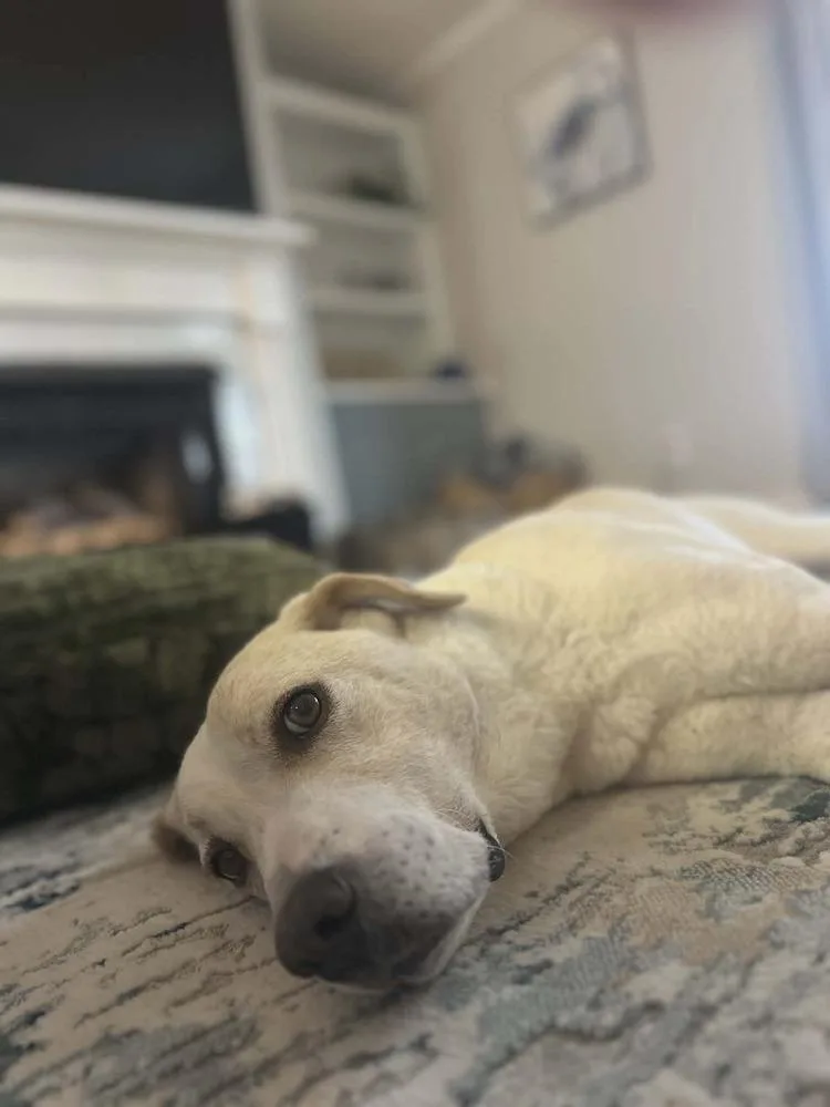 Casper