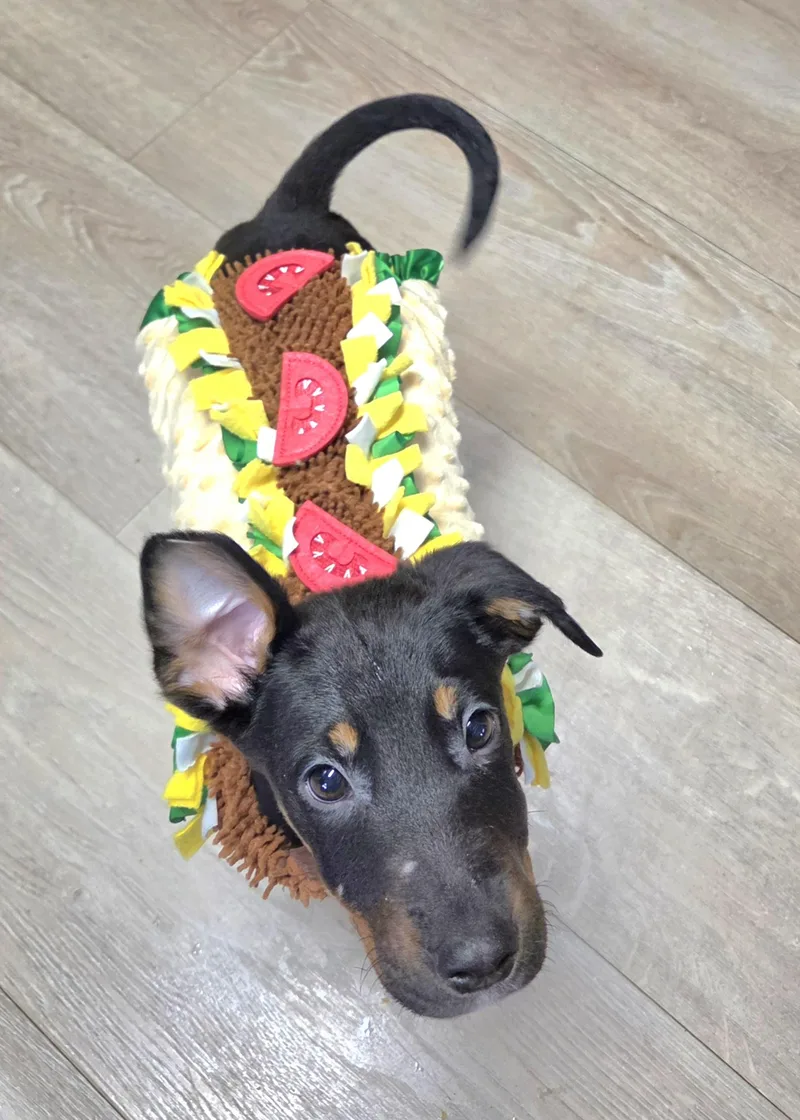 Burrito thumbnail 3