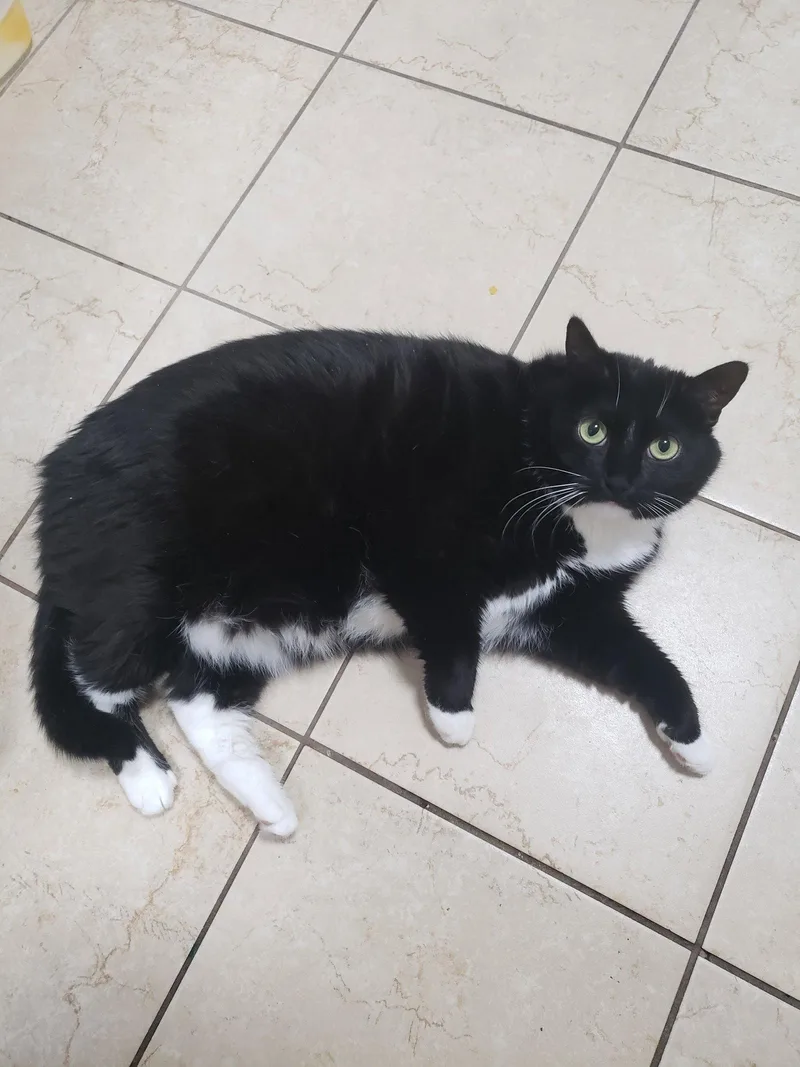 Casandra thumbnail 3