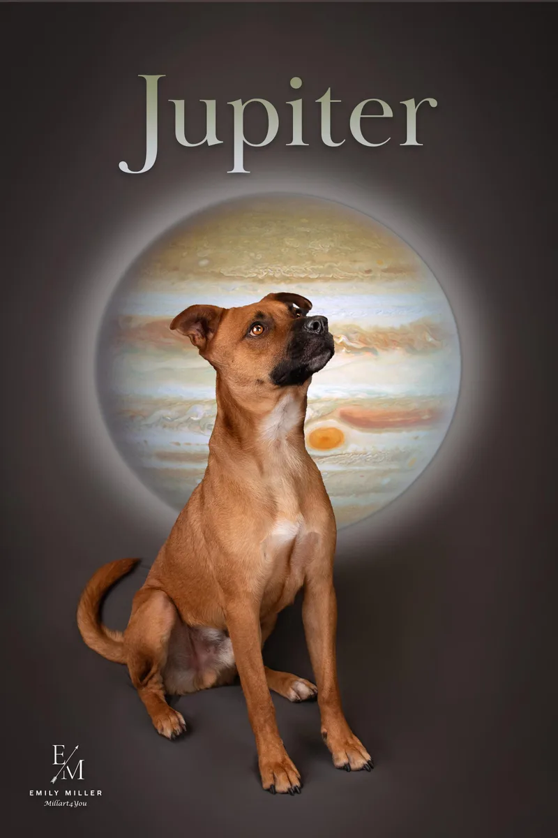 Jupiter thumbnail 6