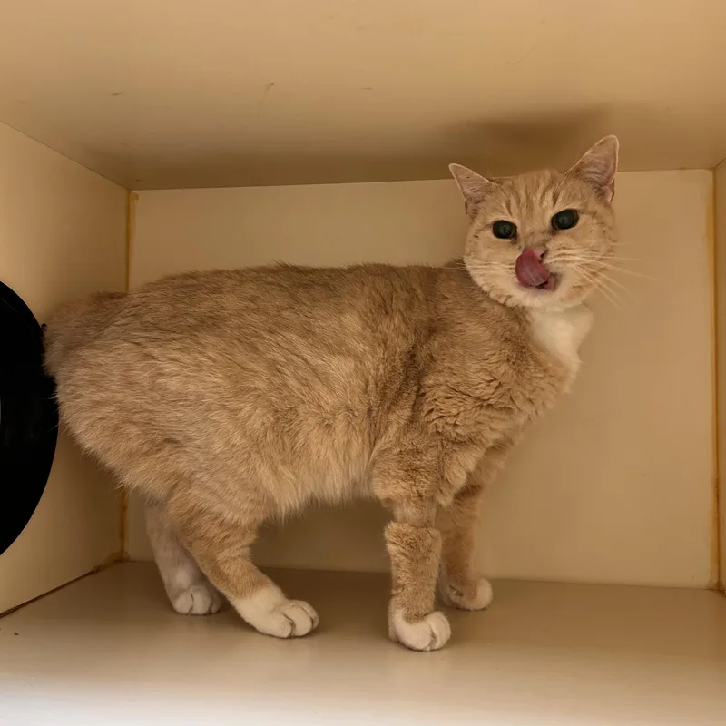 Geraldine thumbnail 2