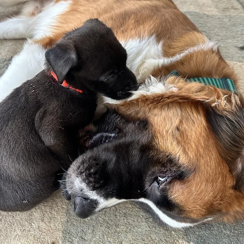 Dr. Robby thumbnail 3