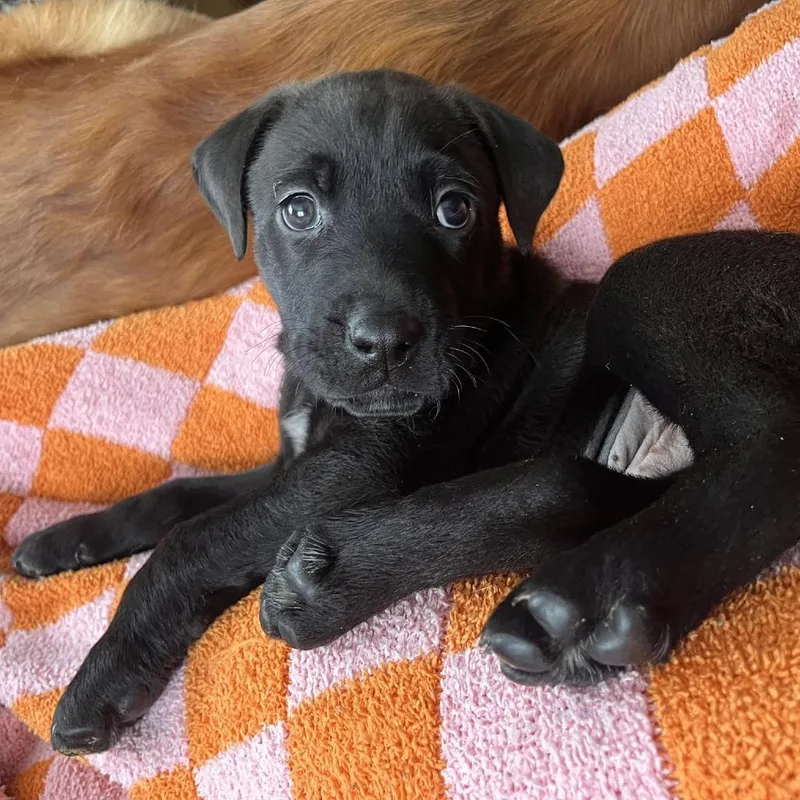 Dr. Robby thumbnail 6