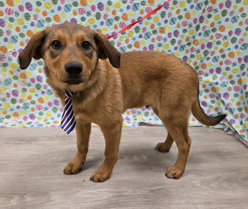 Caldwell thumbnail 2