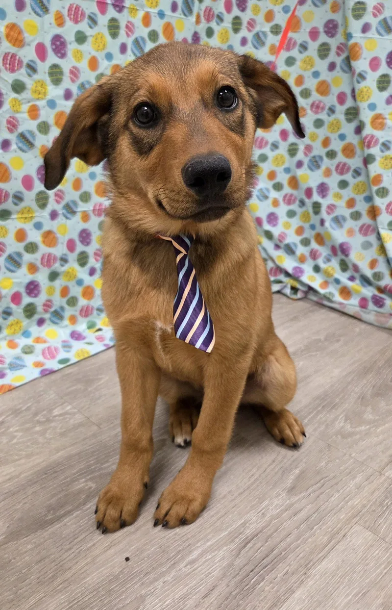 Caldwell thumbnail 3