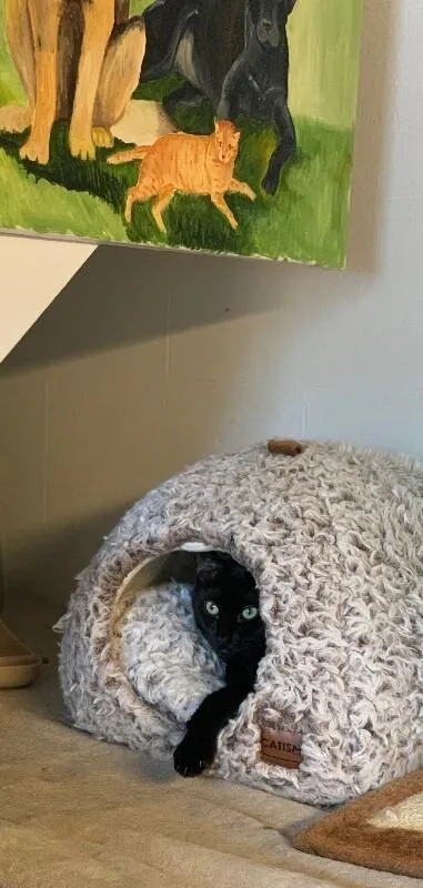 Boo