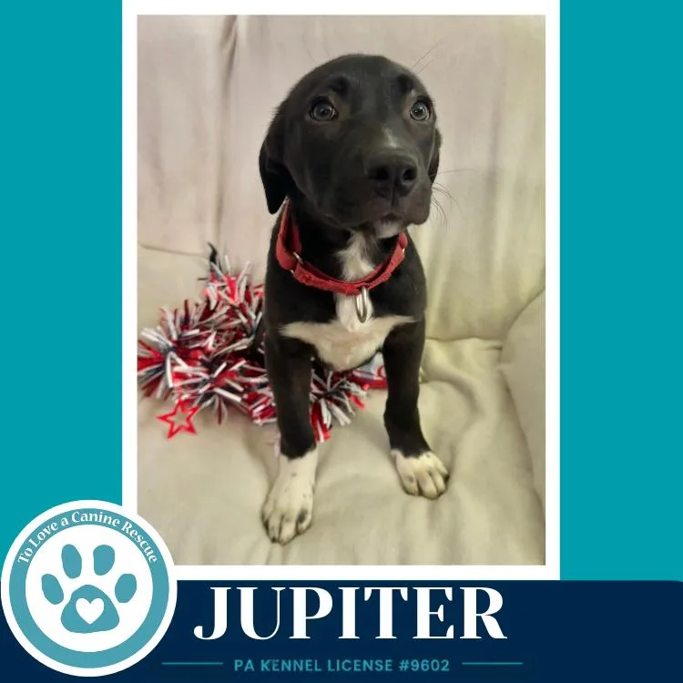 Jupiter