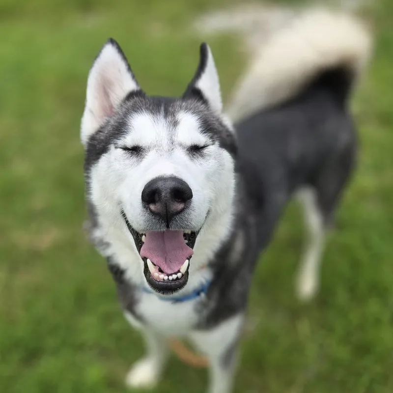Mishka thumbnail 2