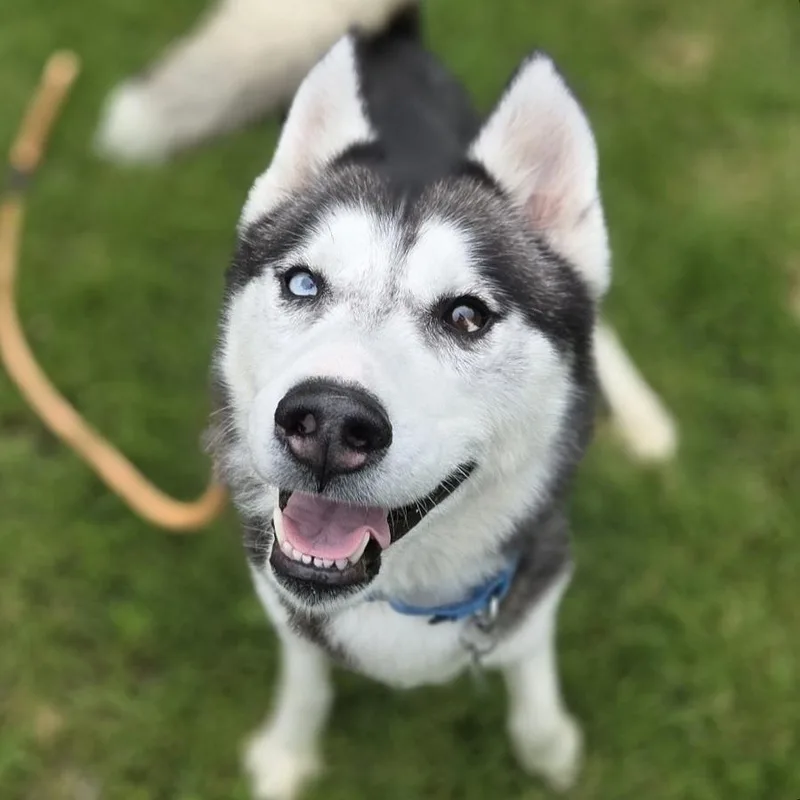 Mishka thumbnail 3