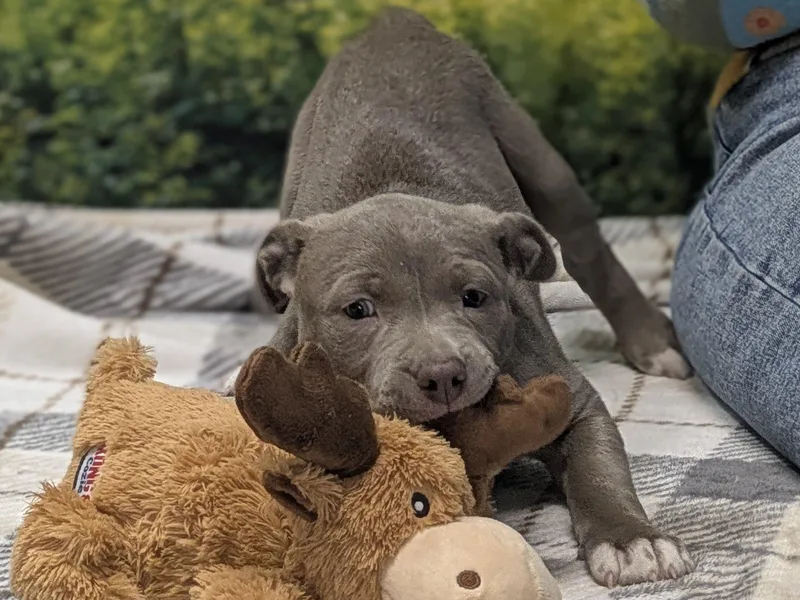 Caterina thumbnail 5