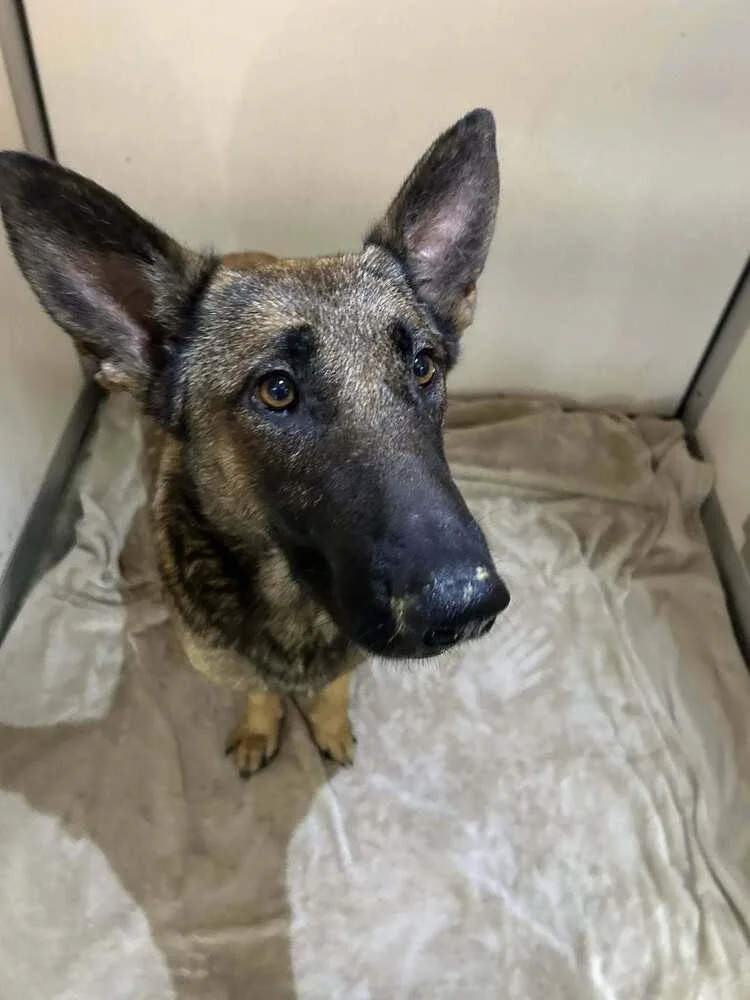 Lodi Located In Ca thumbnail 2