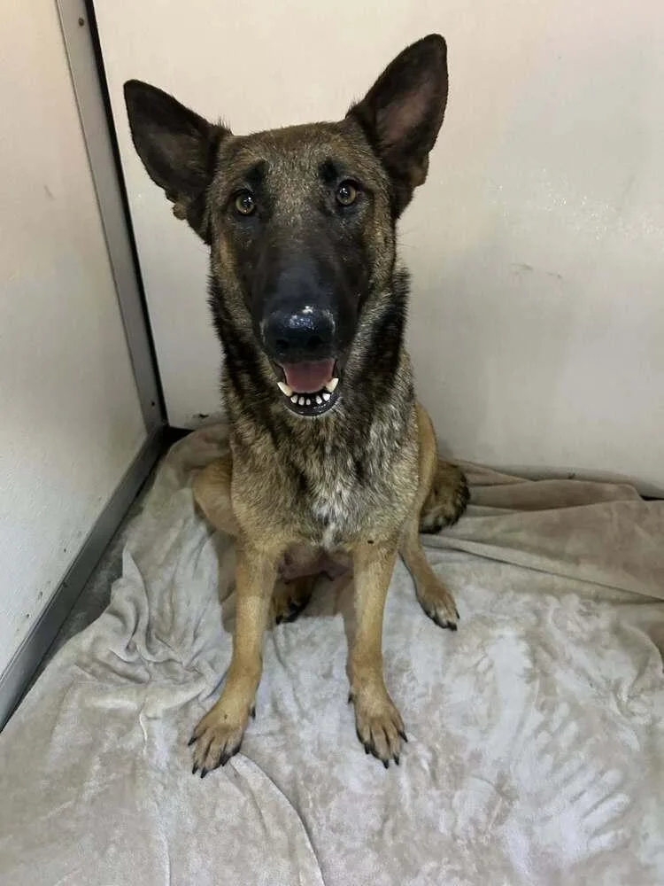 Lodi Located In Ca thumbnail 3