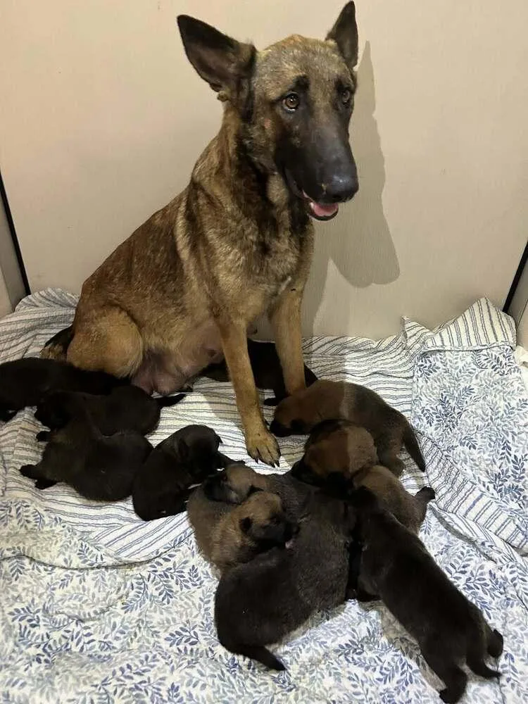 Lodi Located In Ca thumbnail 4