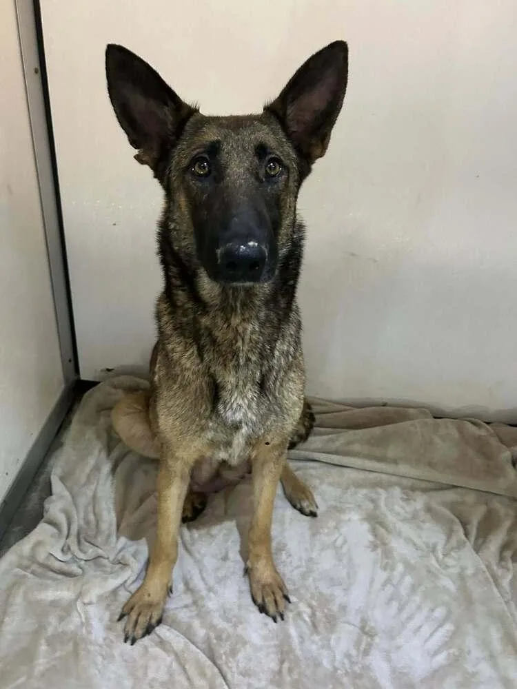 Lodi Located In Ca thumbnail 5