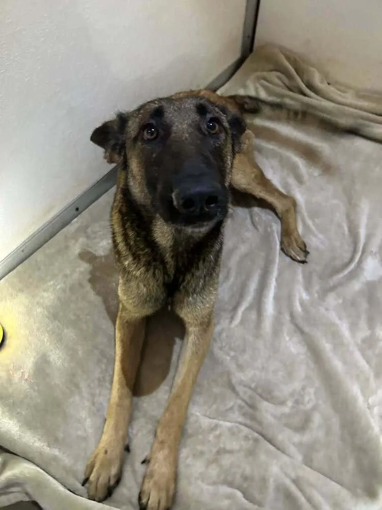 Lodi Located In Ca thumbnail 6