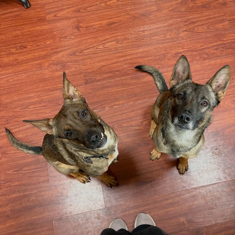 Tommy & Baby thumbnail 2