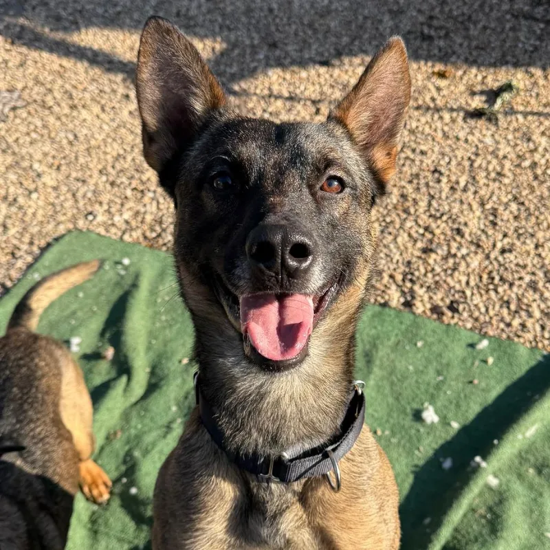 Tommy & Baby thumbnail 3