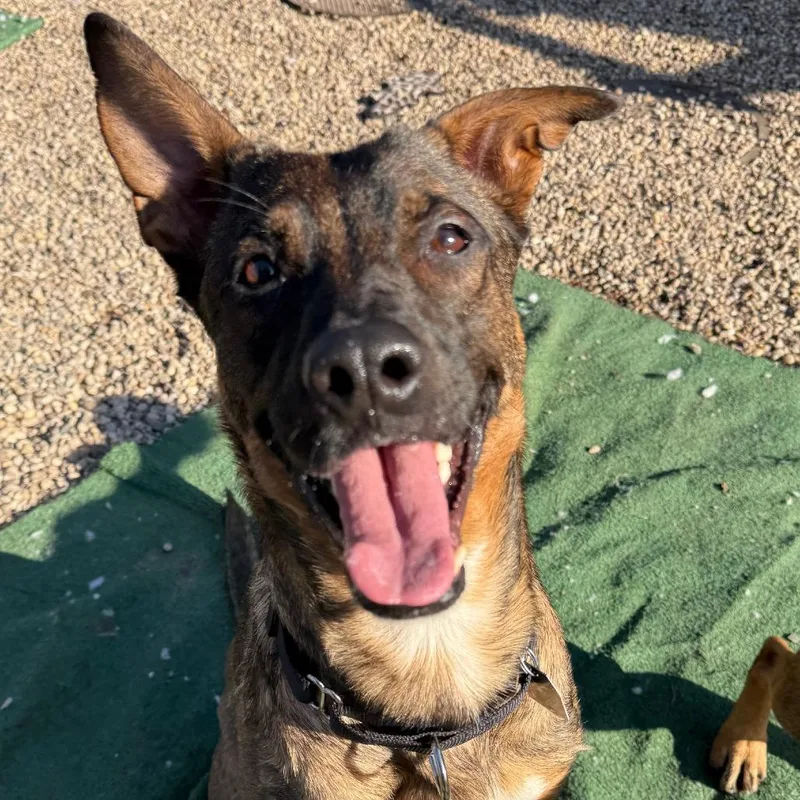 Tommy & Baby thumbnail 4