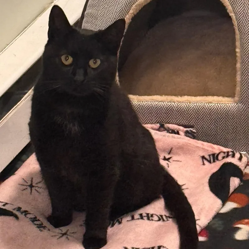 Betty Lou thumbnail 2