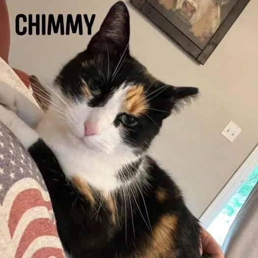 Chimmy C