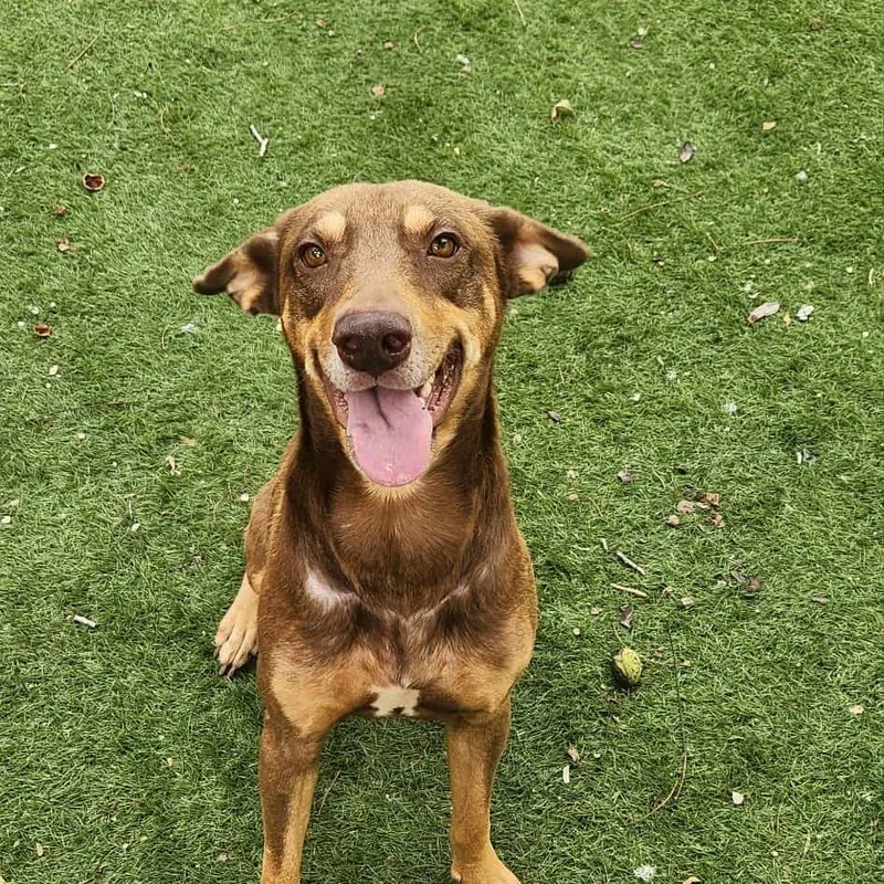 Munich Jum thumbnail 2