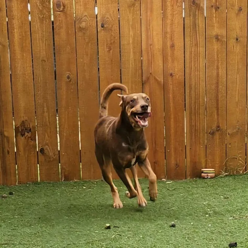 Munich Jum thumbnail 3