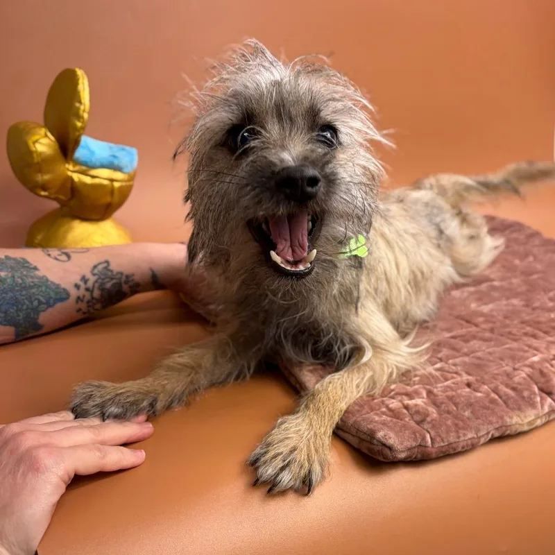 Floyd thumbnail 3