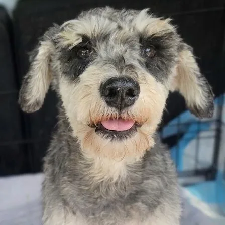 Theodore